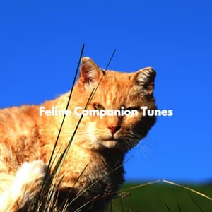 Feline Companion Tunes - Calm Cooking Music
