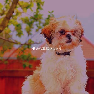 愛犬も喜ぶでしょう - Instrumental Chill Out Jazz