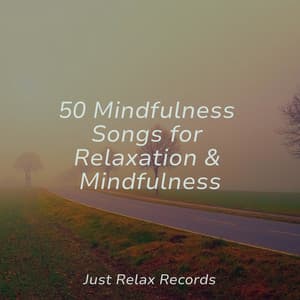 50 Mindfulness Songs for Relaxation & Mindfulness - Healing Yoga Meditation Music Consort