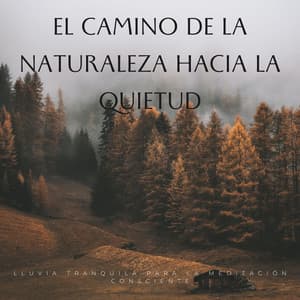 El Camino De La Naturaleza Hacia La Quietud: Lluvia Tranquila Para La Meditación Consciente - Meditación de lluvia