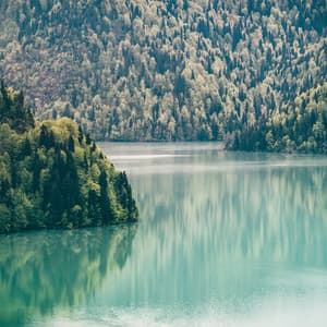 Pájaros del Paraiso - Música De Relajación Para Dormir Profundamente