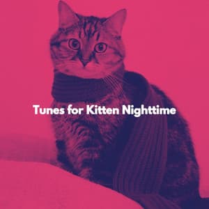 Tunes for Kitten Nighttime - Jazz Coffee Playlist