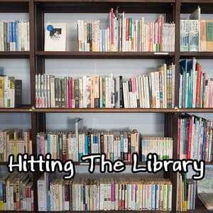 Hitting The Library - White Noise Research