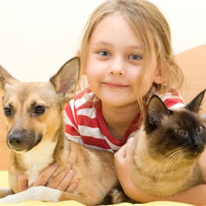 Petscape Jazz Piano Embrace: Reflective Comfort for Animals - Pet Music Therapy