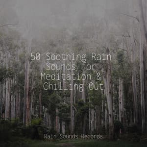 50 Soothing Rain Sounds for Meditation & Chilling Out - Calming Waves