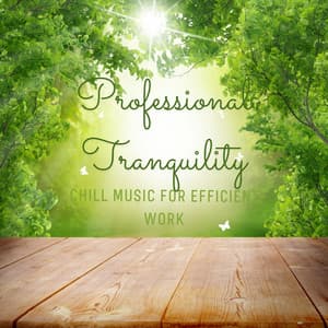 Professional Tranquility: Chill Music for Efficient Work - Tranquil Cove
