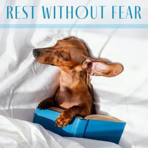 Rest Without Fear: Relaxing New Age Music for Pets - Instrumental Music Zone