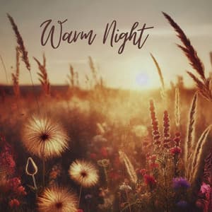 Warm Night: Dreaming Nature Sounds for Insomnia Relief - Dreaming Sound