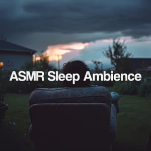 ASMR Sleep Ambience - Thunderstorm Sound Bank