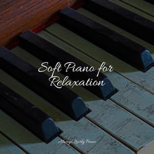 Summer Piano Melodies for the Soul - Tranquil Music Sound of Nature