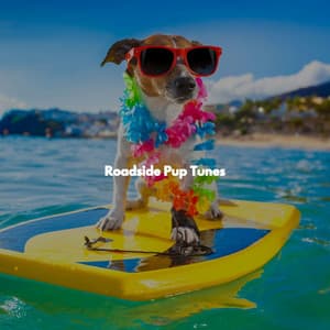 Roadside Pup Tunes - Smooth Jazz New York