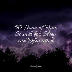 50 Hour of Rain Sounds for Sleep and Relaxation - Rain for Deep Sleep