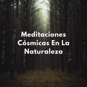 Cúpula Celestial: Meditaciones Cósmicas En La Naturaleza - Medi Rela