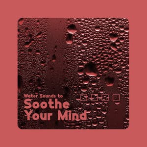 Water Sounds to Soothe Your Mind - Natural Sleep Aid Music Zone