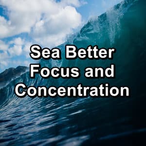 Sea Better Focus and Concentration - Yoga Club