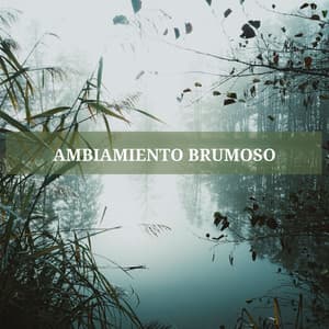 Ambiamiento Brumoso - Canción de Cuna