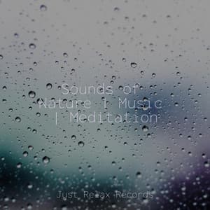 Sounds of Nature | Music | Meditation - Shakuhachi Sakano