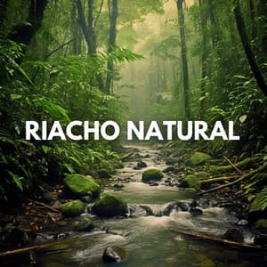 Riacho Natural - Sons da Natureza