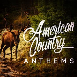 American Country Anthems - Country Rock Party