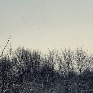 GN / Scanner - Geins't Naït