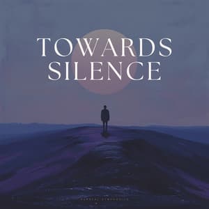 Towards Silence - Therapy Spa Music Paradise