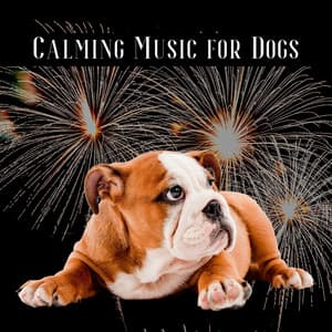 Calming Music for Dogs Afraid of Fireworks - Dog & Calm