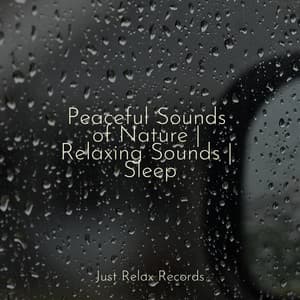 Peaceful Sounds of Nature | Relaxing Sounds | Sleep - Ambiente