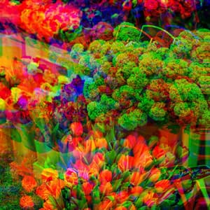 Background Music for Evening Intros - Música Lounge Relax para Cafés