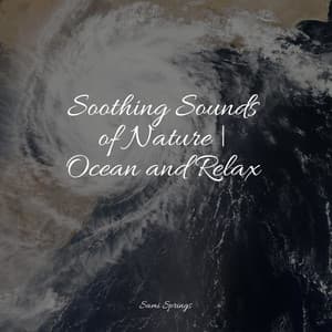 Soothing Sounds of Nature | Ocean and Relax - Sleep Rain