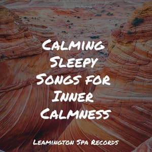 Calming Sleepy Songs for Inner Calmness - Anxiety Relief