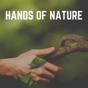 Hands of Nature - Nature Ambience