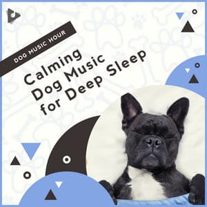 Calming Dog Music for Deep Sleep - Dog Music Hour