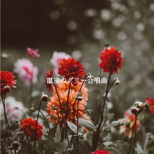 温室のグリー合唱曲 - Cafe Restaurant Music