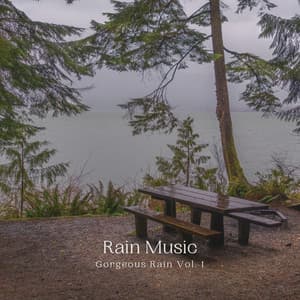 Rain Music: Gorgeous Rain Vol. 1 - Dog Radio 1