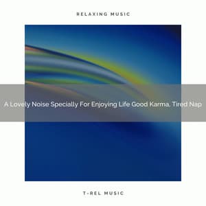 A Lovely Noise Specially For Enjoying Life Good Karma, Tired Nap - Satisfying Brown Noise