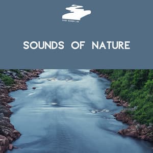Sounds of Nature: Rivers, Streams and Brooks - River Sounds Lab