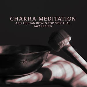 Chakra Meditation and Tibetan Bowls for Spiritual Awakening - Buddhist Experience World