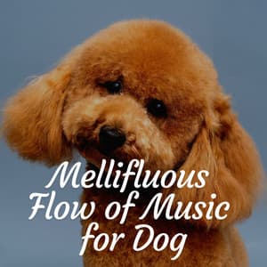Mellifluous Flow of Music for Dog - Relax My Dog Music