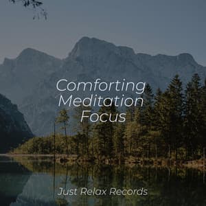 Comforting Meditation Focus - Meditation Awareness