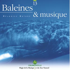 Chlorophylle 13 : Baleines & musique - Relaxing Zen Nature