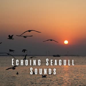 Echoing Seagull Sounds - Seas of Dreams