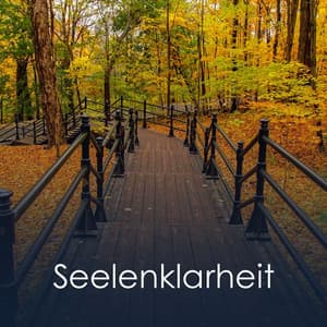 Seelenklarheit - Guten Schlafen Akademie