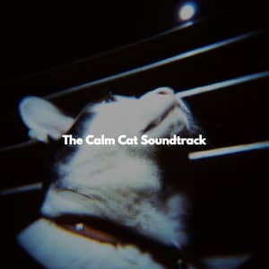 The Calm Cat Soundtrack - Jazz Instrumental Relax Center