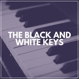 The Black and White Keys - Quiet Piano