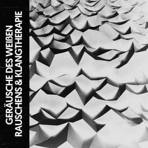 Weißen Rauschens & Klangtherapie: Bitte einen ruhigen Schlaf für die ganze Nacht - Dog Relaxation