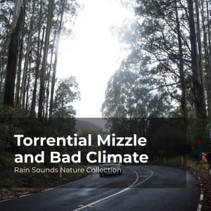 Torrential Mizzle and Bad Climate - Rain Sounds Nature Collection