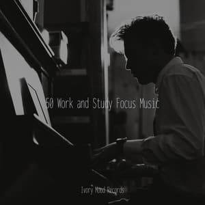50 Work and Study Focus Music - Ivory Mood