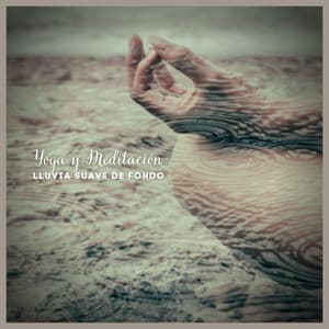 Yoga y Meditación: Lluvia Suave de Fondo - Sonidos de lluvia y ruido de fondo