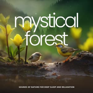 Mystical Forest - Sounds of Nature for Deep Sleep and Relaxation