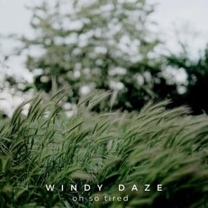 Windy Daze - Oh so Tired